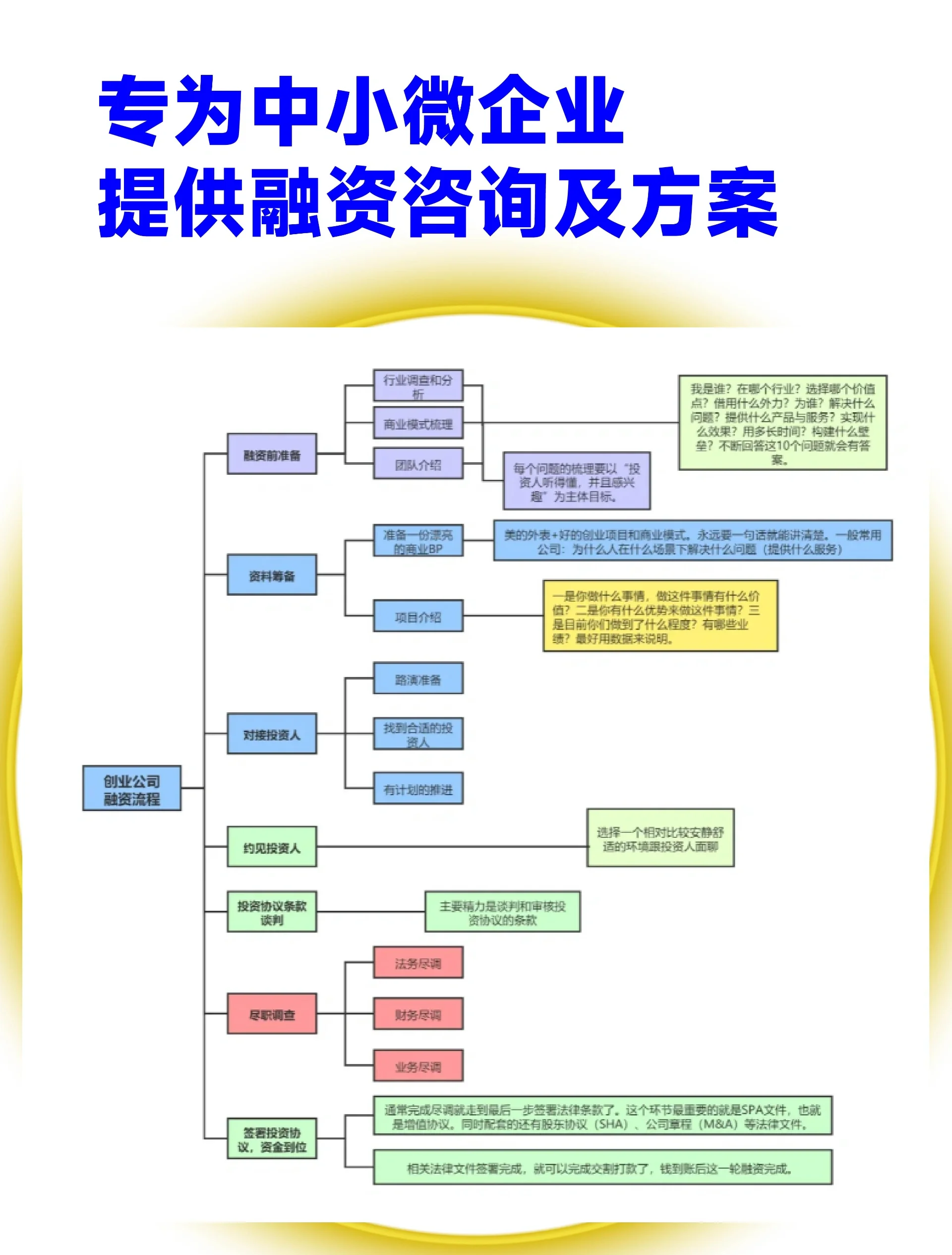 泉州市宠物企业资金管理(宠物管理机构叫什么)
