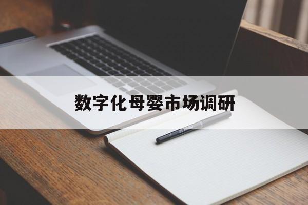 泉州市数字化母婴市场调研(数字化母婴市场调研报告)